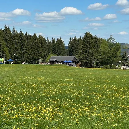 Schindler 別荘 ヨハンジョルゲンシュタット